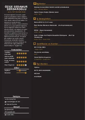 Acil Tıp Teknisyeni CV Örnekleri cv indir